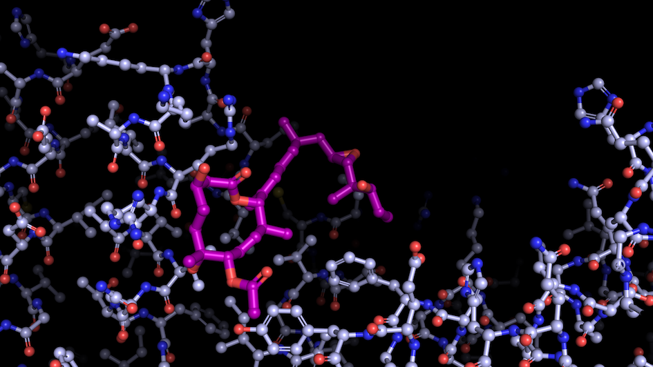 This represents a splicing modulator bound to a spliceosomal component