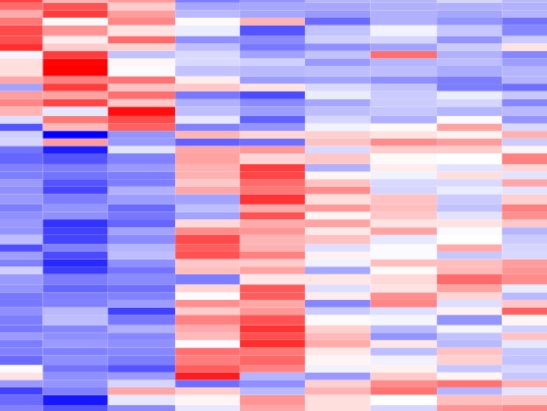 Example of a transcriptome heatmap