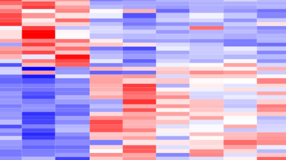 Example of a transcriptome heatmap