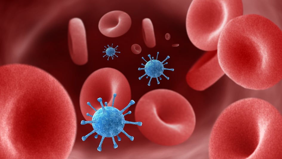 Viruses in the blood stream 945x532px