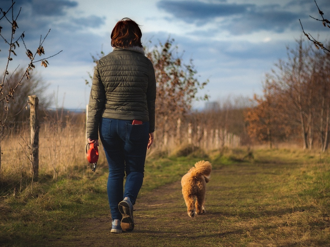 A woman walks her dog in autumn. Trees line the path.