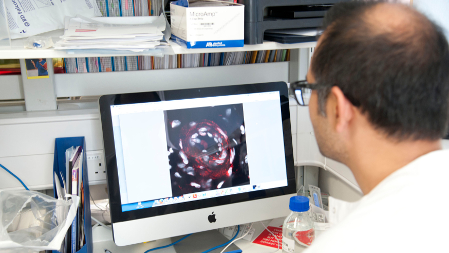 An ICR scientist working at a computer