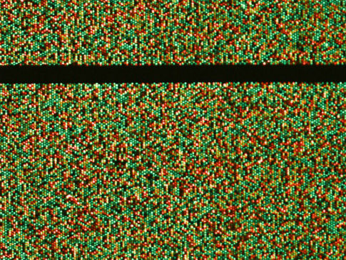 DNA microarray (lowres)485x364