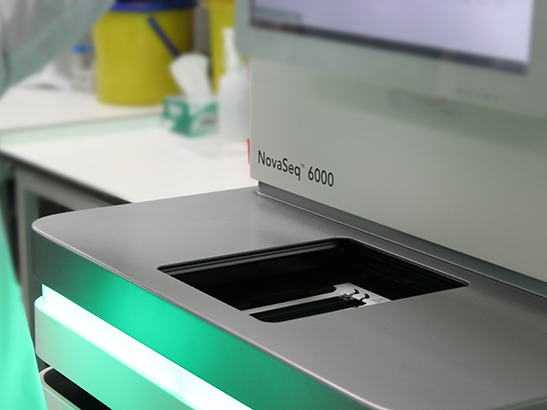 NovaSeq genome sequencing machine