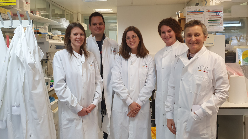 Sarcoma Molecular Pathology team